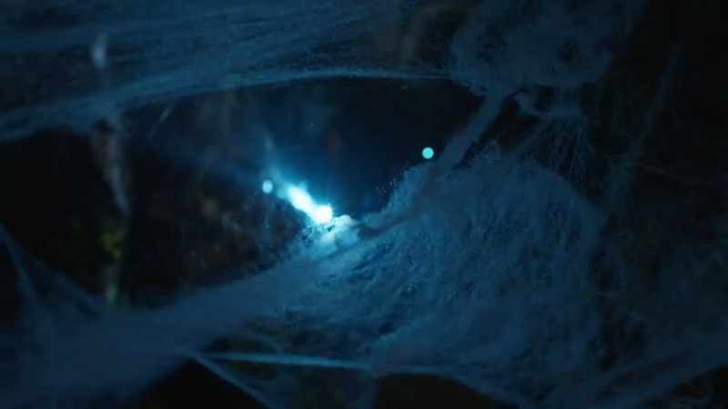 Does the name Skeleton Caves