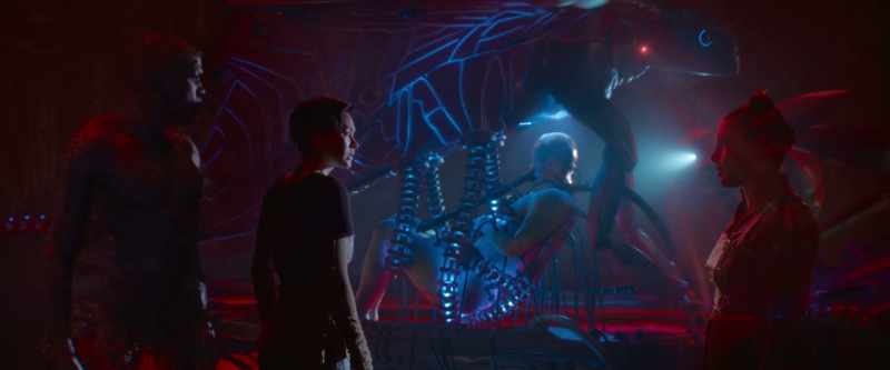 Doesn't it seem crazy to come all this way