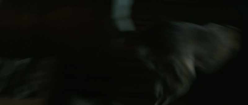 [Dog barking]