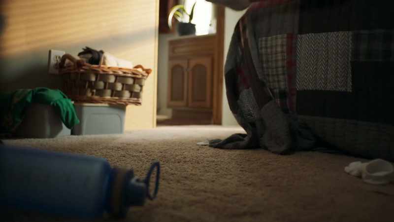 [DOG BARKING]