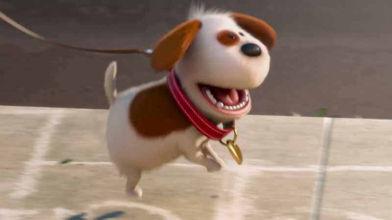 [dog barking]