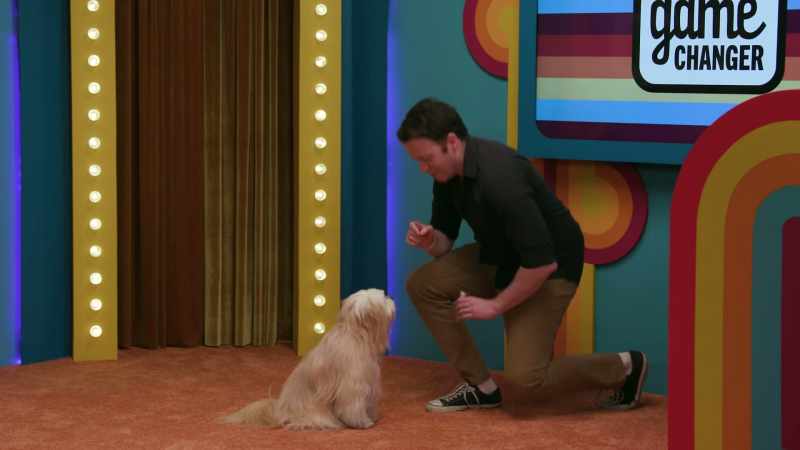 (dog barks)