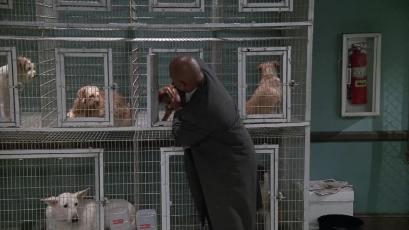 (DOG BARKS)