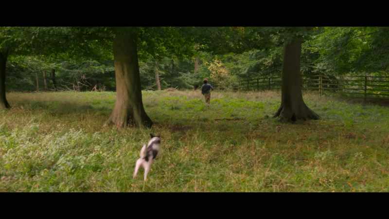 [Dog barks]