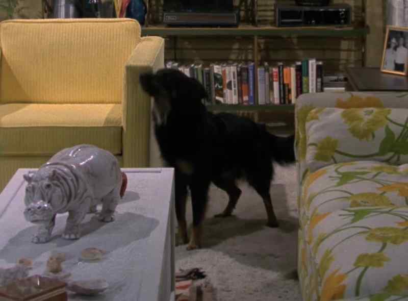 (DOG BARKS)