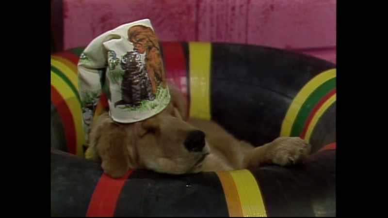 [dog barks]