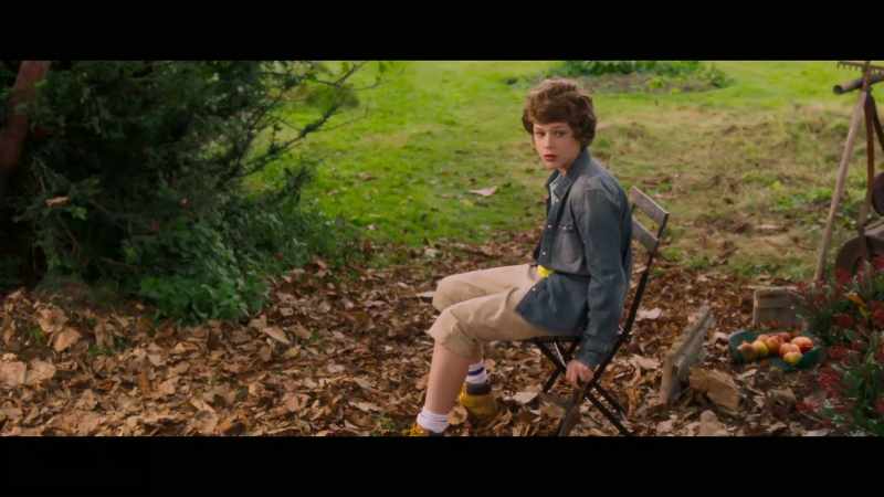 Dog, get away from that hedge