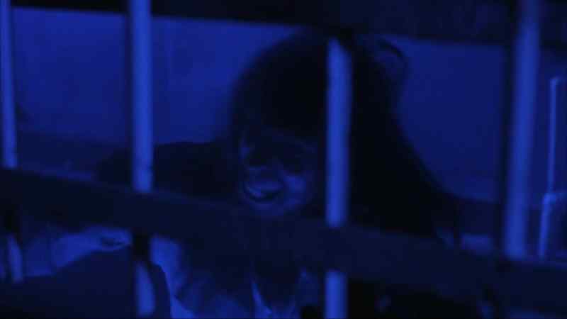 (dog growling/barking) - (man) No! Hey! Hey!