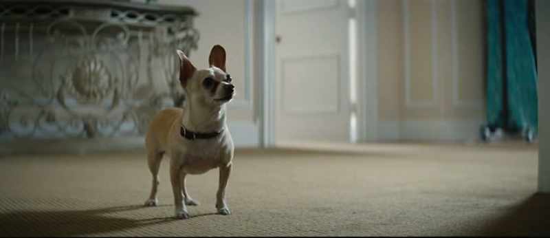 (DOG GROWLS) - (DOOR LOCK RATTLES)