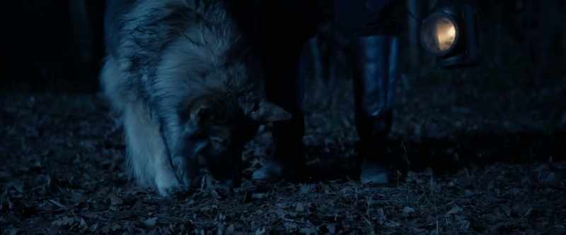 (dog grunts)