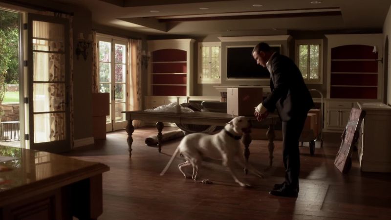 [dog panting]
