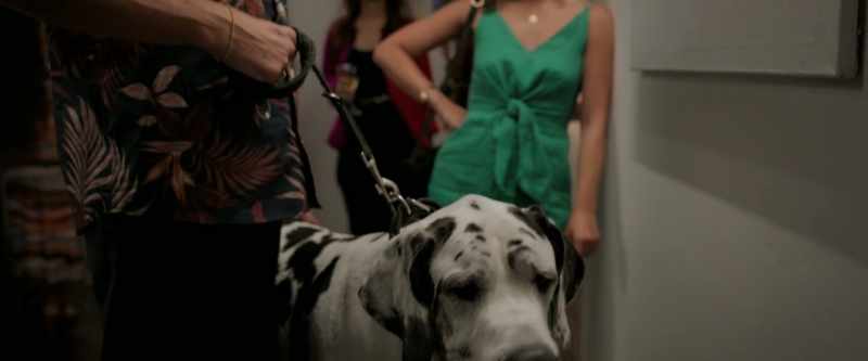 [dog pants] - [background chatter]