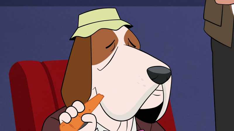 Dog with bucket hat