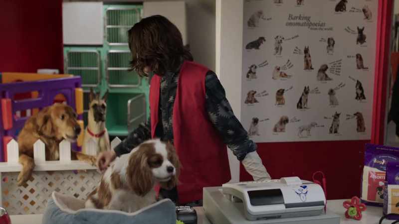 [dogs barking]