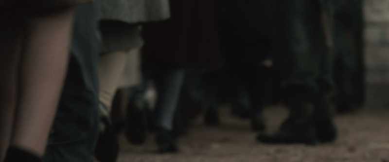 [dogs barking]