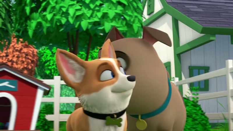Dogs in the show have to fetch