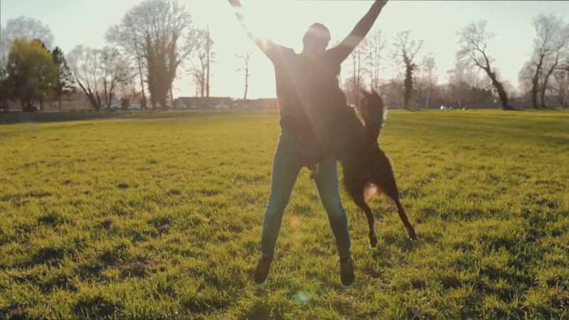Dogs see their owners as gods