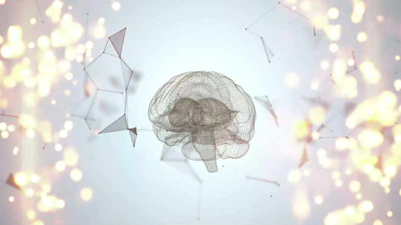 DOLAN: But the one thing we have is consciousness