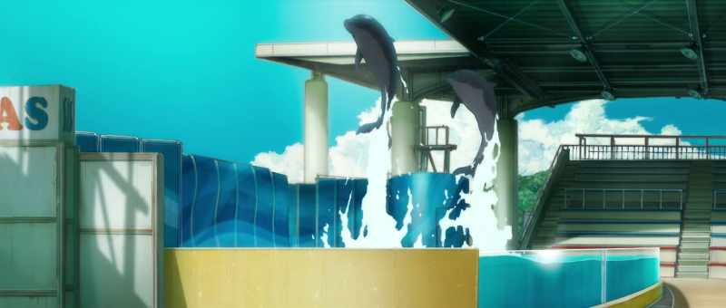 (dolphins splashing)