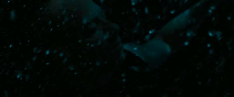 Dom. Tell me what you see, son