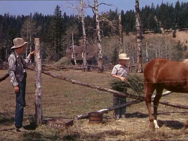 Don´t run away, Flicka