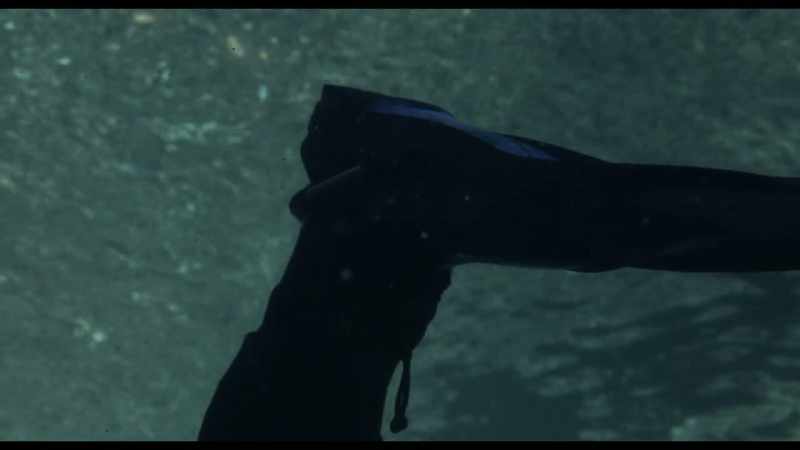 [Don] If you're about to go and do a dive