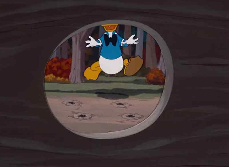 [Donald laughing]