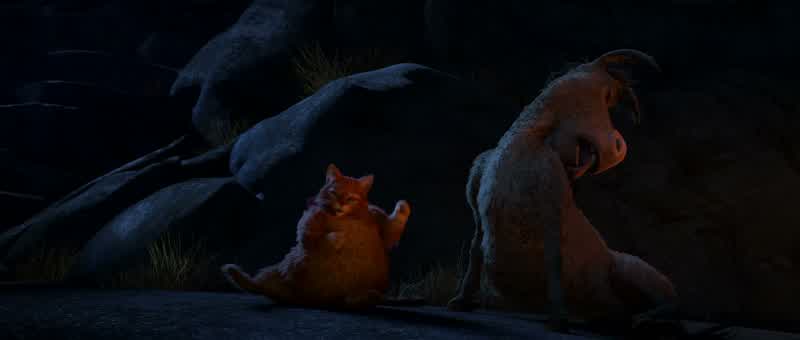Donkey