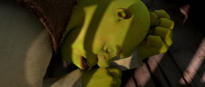 Donkey, stop with the singing, will you?