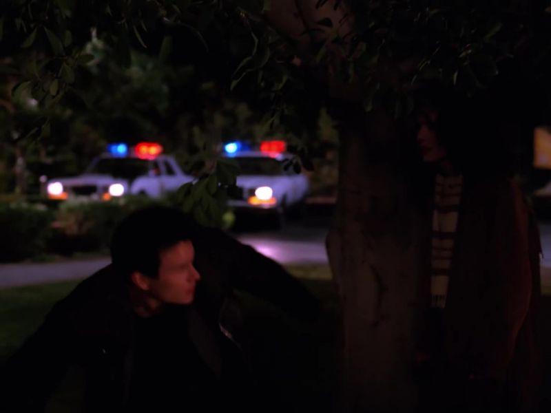 DONNA: James?