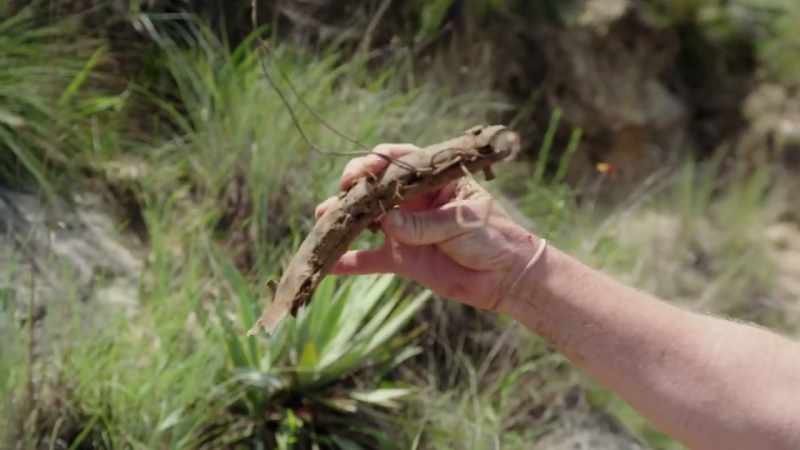 �DONNA: What is it? ‐That looks like