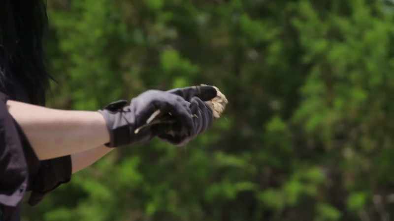 �DONNA: Yeah. ‐This would have been