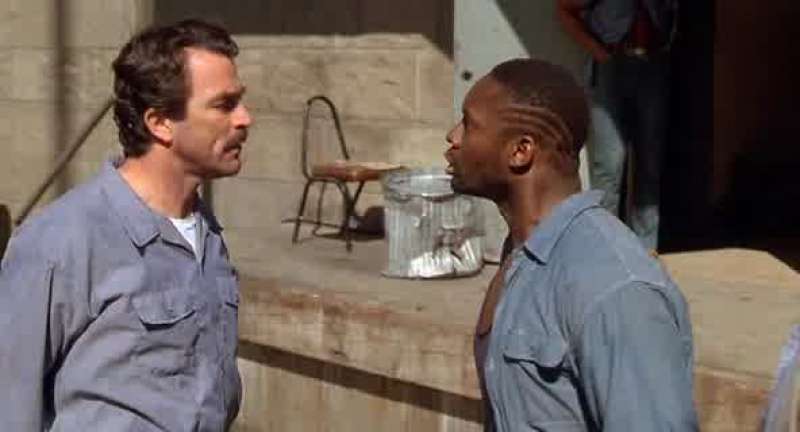 Don't you ever touch me you white motherfucker