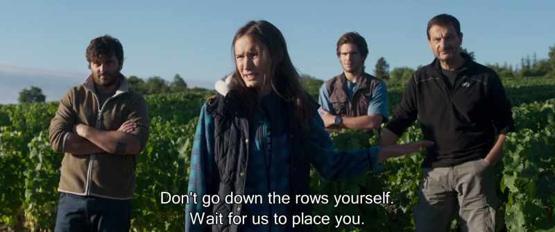 Don't go down the rows yourself. Wait for us to place you