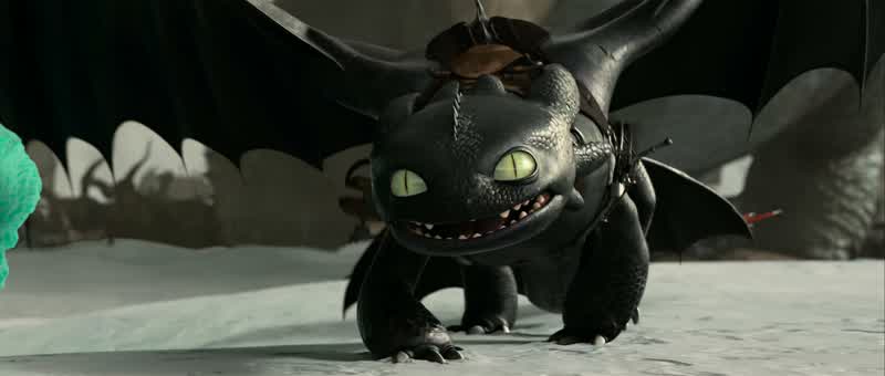 Don't! - Hiccup! - Stop...! - Son!