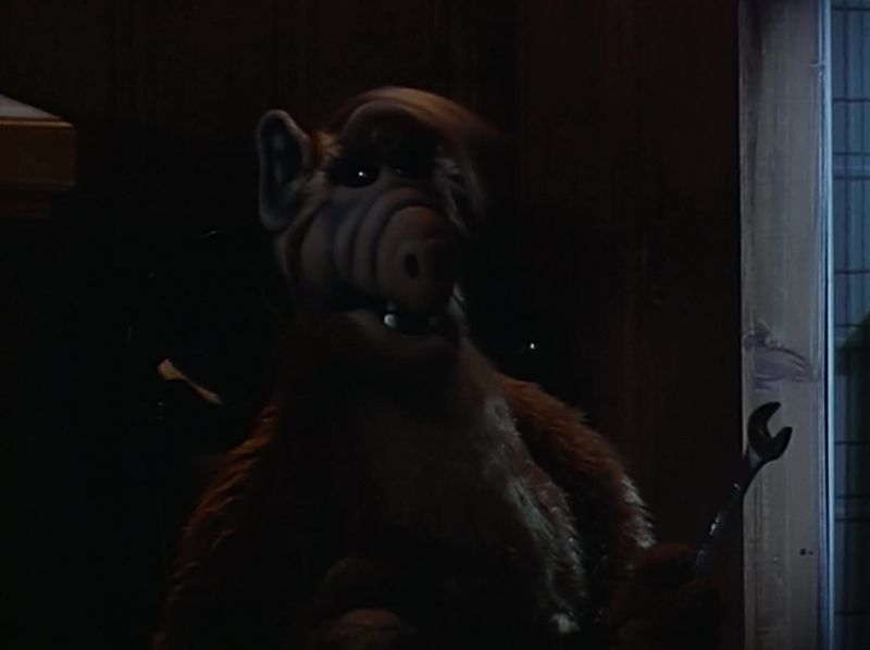 Don't you know what freeze means?