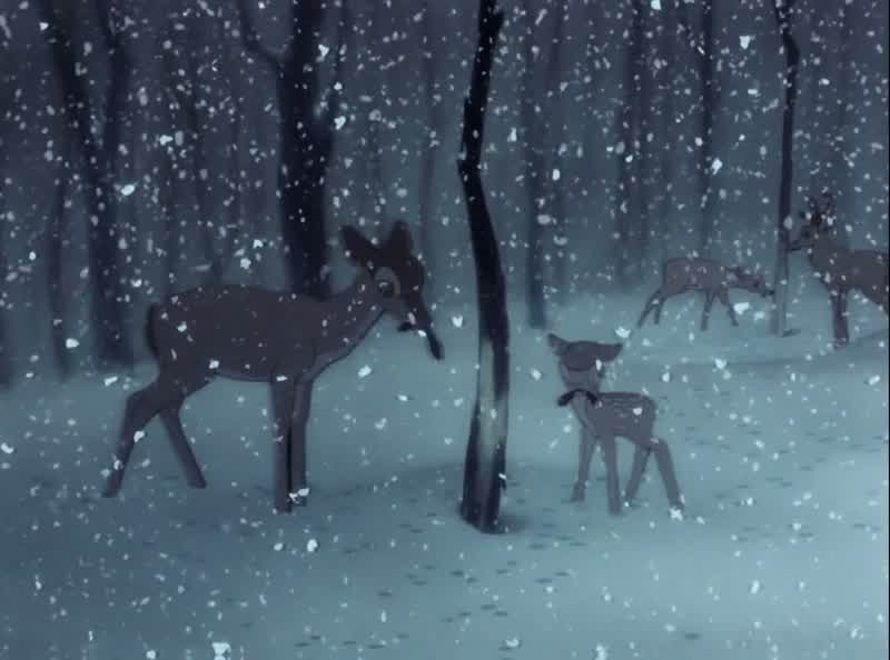 Bambi QuickThe thicketFaster Faster BambiDon't look back Keep runningKeep running