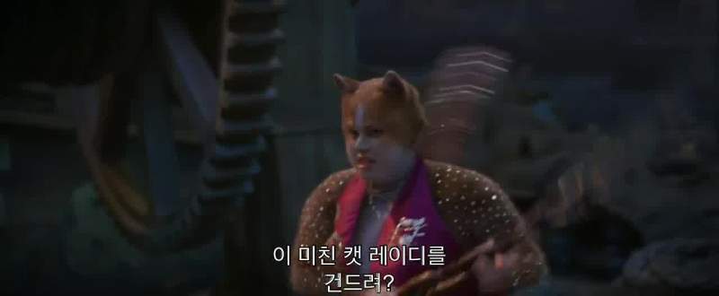 Don't mess with the crazy cat lady