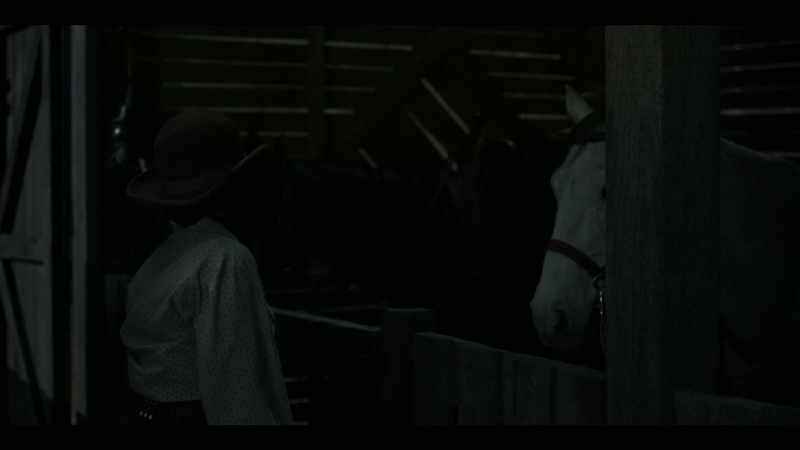 Don't need a saddle, just get the horses