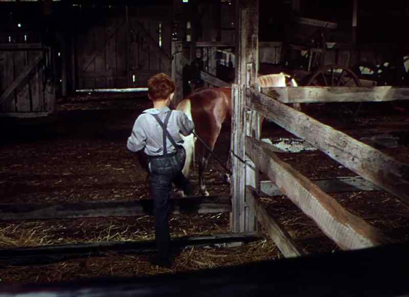 Don't open the door, Billy