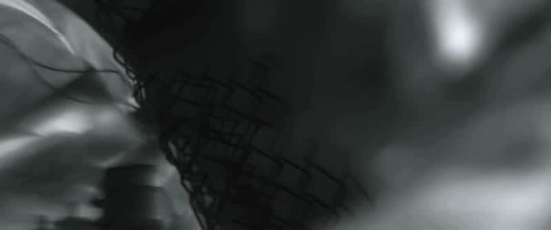 Don't shoot, don't shoot!