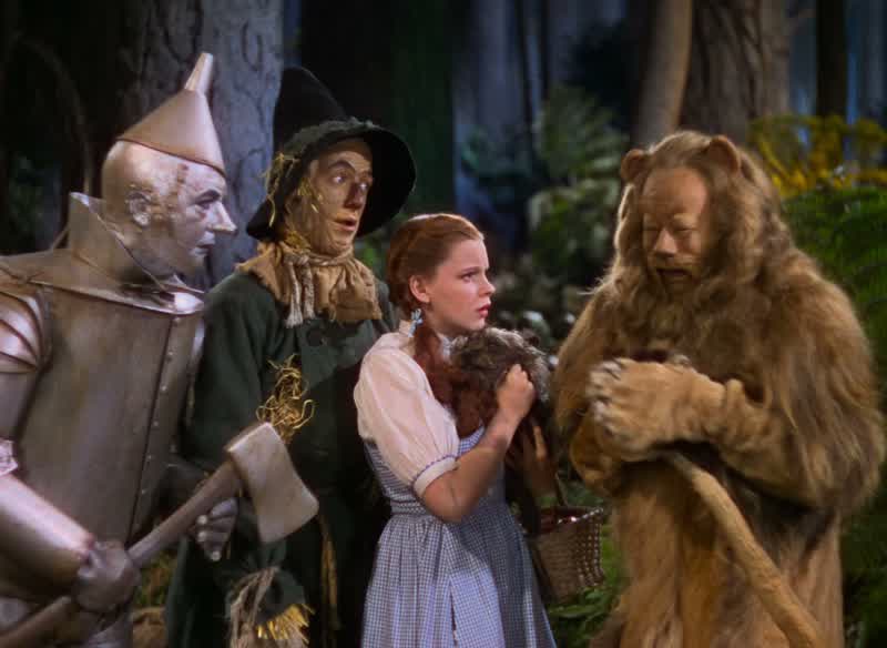 Don't you think the Wizard could help him tooI don't see why notCome along with usWe're on our way to see the Wizard To get him a heartAnd him a brain He could give you some courageWouldn't you feel