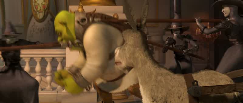 Don't worry, Donkey