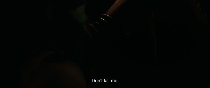 Don't worry, I'm not gonna hurt you
