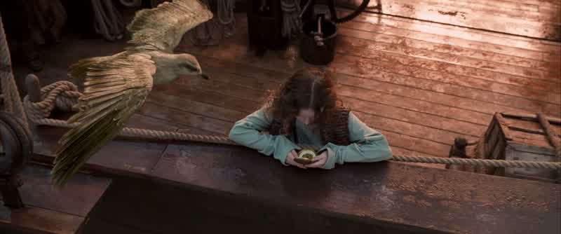 Don't worry, Lyra