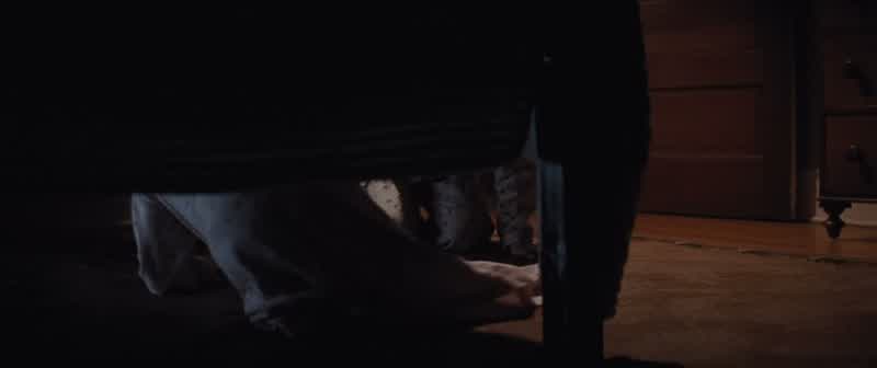 Don't you come out, okay?