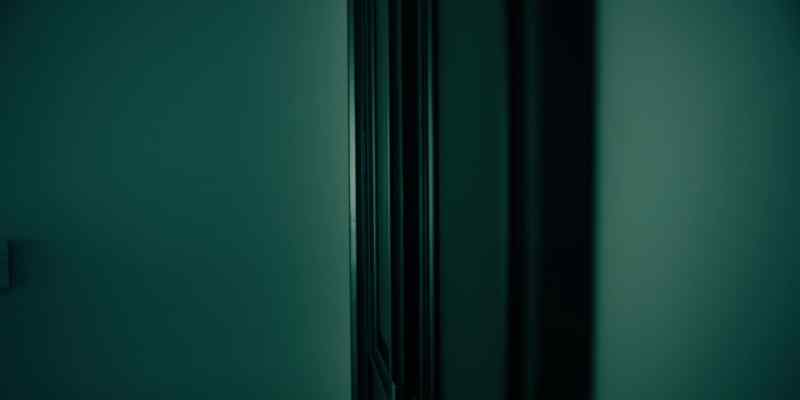 (door clicks open)
