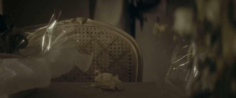 [DOOR CLOSES] -[GENTLE MUSIC PLAYING]