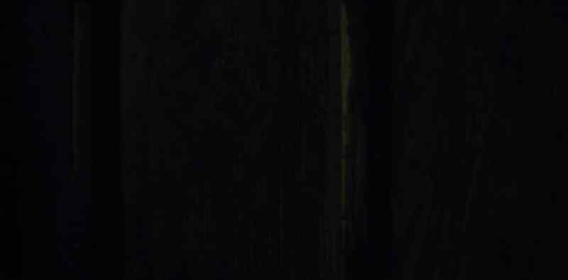 (door clunking)