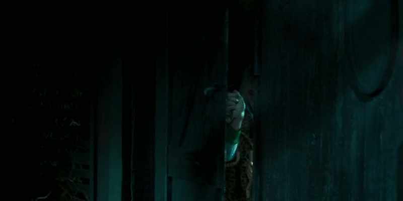 DOOR OPENS